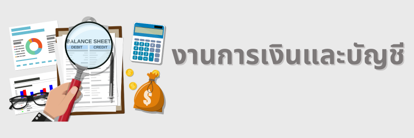 งานการเงินและบัญชี"
